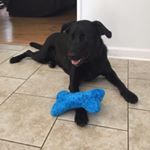 Profile Picture of Pamela Nelms (@pamnelms6) on Instagram