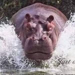Profile Picture of James Brantley (@jimmybam81) on Instagram