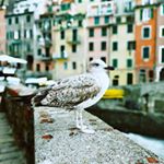 Profile Picture of scott bader (@scott_hi) on Instagram