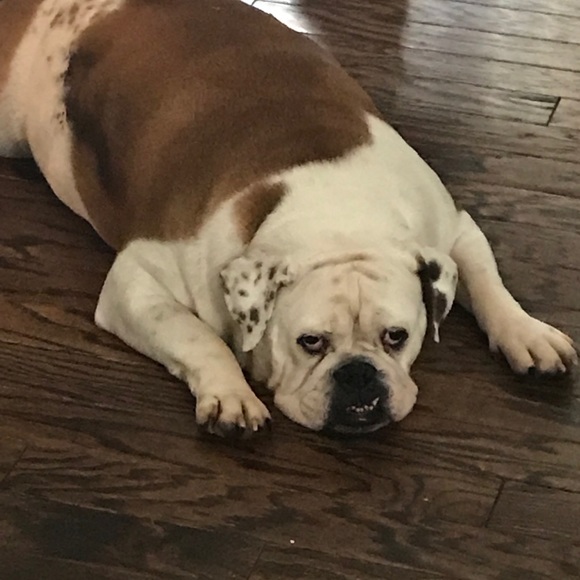 Profile Picture of Rachael Parsons (@rachael_parsons) on Poshmark