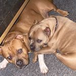 Profile Picture of Tune Zy Agbor Francis (@jerry_scott_77) on Instagram