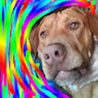 Profile Picture of Cassandra Stewart (@cassandra-stewart-74) on Quora