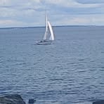 Berta Feeney - Facebook Profile Picture of Berta Feeney (@Berta-Feeney) on Facebook