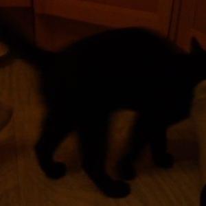 Profile Picture of Daniel Konig (@DanielKonig3) on Twitter