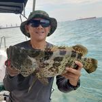 Profile Picture of Leck Ser Wee (@mrlaake) on Instagram