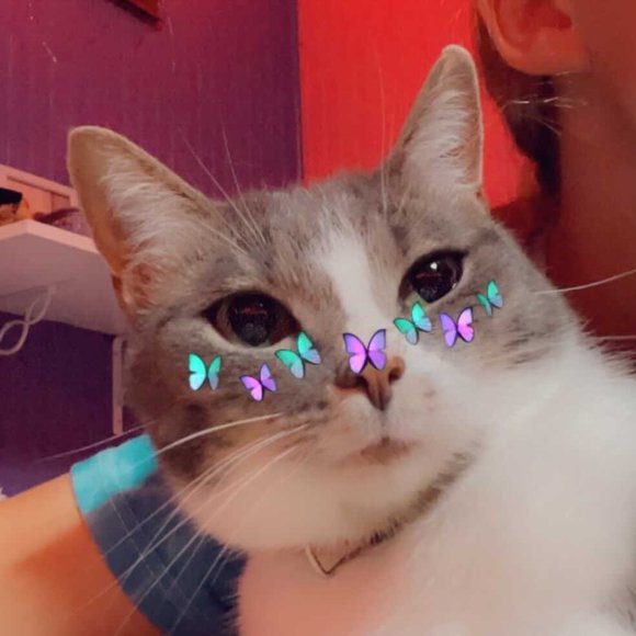 Profile Picture of Kurstyn Pitsinger (@kurstyn_p) on Poshmark