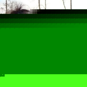 Profile Picture of Rose Wade (@444587327) on Myspace