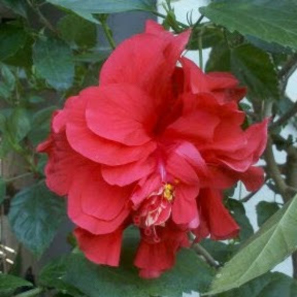 Profile Picture of Claudia Clark (@claudiaclark59) on Poshmark