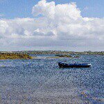 Profile Picture of Chris Maley (@chris_maley) on Instagram