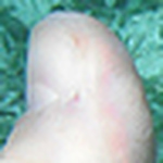 Profile Picture of Martin Jacques (@maxime_j) on Flickr