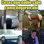 Profile Picture of Pedro Matus (@pedro.matus.560) on Instagram