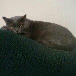 Profile Picture of Richard Hickey (@rhickey1973) on Instagram