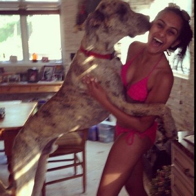 Profile Picture of Trisha Patel (@tr33p) on Twitter