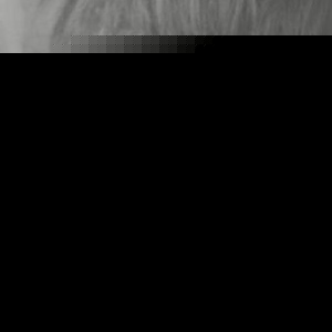 Profile Picture of Josh Fernandez (@114616897) on Myspace
