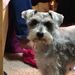 Profile Picture of Ruth Behring (@polarbehrs) on Pinterest