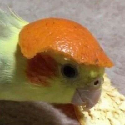 Profile Picture of Andrew Kuznetsov (@pngw_else) on Twitter