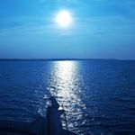 Merlin David - Instagram Profile Picture of Merlin David (@merldav_98) on Instagram