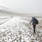 Profile Picture of Eric Schwab (Nenê) (@ericschwab_) on Instagram