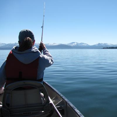 Profile Picture of Cathy Rosenthal (@crwyo80) on Twitter