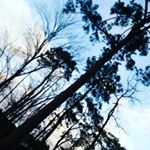 Profile Picture of Kimberly Rivera (@kimmmzilla) on Instagram