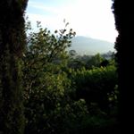 Profile Picture of Dawnwood (@dawnwoodlushesn1) on Instagram