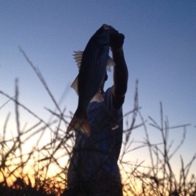 Profile Picture of Max Applegate (@Mapplegate_1) on Twitter