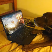 Profile Picture of Sean Bachman (@VenusflyGaming) on Youtube