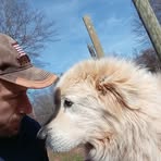 Profile Picture of Bretton Fletcher (@Bretton-Fletcher) on Facebook