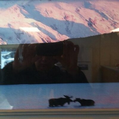 Profile Picture of Kristi Schultz (@critter1002) on Twitter