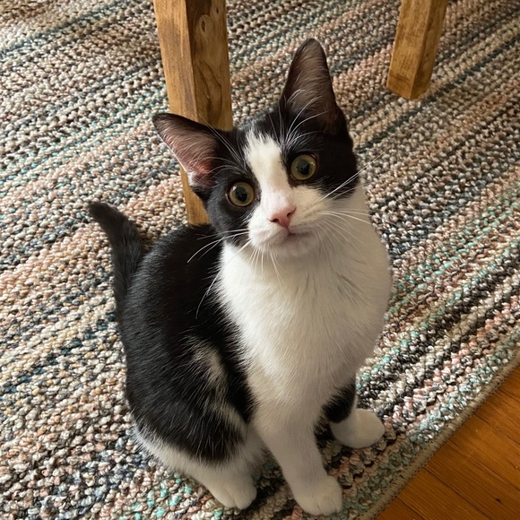 Profile Picture of Jeneen Gallik (@jengal2020) on Poshmark