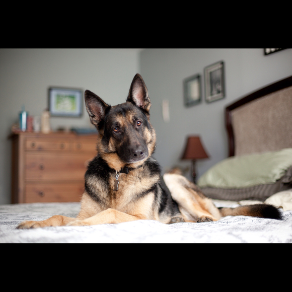 Profile Picture of Vicky Parrilli (@missvickybee) on Poshmark