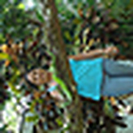 Lisbeth Pe?a - Flickr Profile Picture of Lisbeth Pe?a (@lpenaus) on Flickr