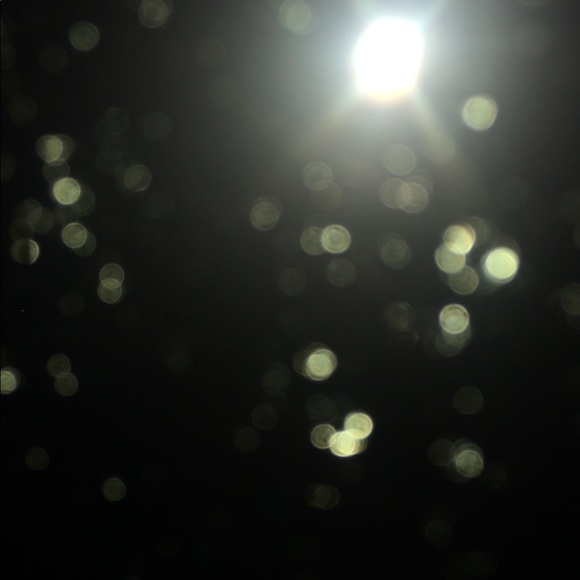 Profile Picture of Andrew Valencia (@andrew323lol) on Poshmark