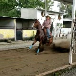 Profile Picture of Alonso Fierros (@alonso.fierros) on Instagram