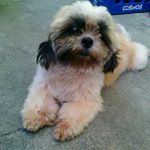 Profile Picture of James Artes (@jamesarthur4327) on Instagram