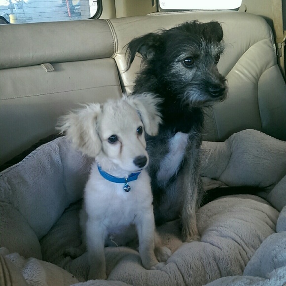 Jenee Moore - Poshmark Profile Picture of Jenee Moore (@jeneemoore) on Poshmark