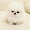 Profile Picture of Michaela Miranda (@@michaelamiranda0) on Tiktok