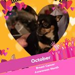 Profile Picture of Jo Dee Mize-Beinker (@mizebeinker) on Instagram