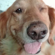 Profile Picture of Omar Oropeza (@Oropeza099) on Youtube