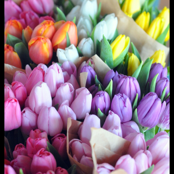 Profile Picture of Robin Wallis (@r3264) on Poshmark