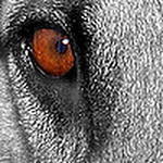 Profile Picture of Carlos Lucas (@c. lucas) on Flickr