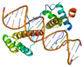 Profile Picture of HOXA9on Wikipedia