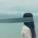 Profile Picture of Tamara Maxwell  (@tamaramaxwell21474) on Pinterest