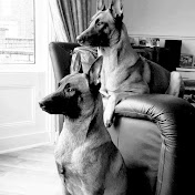 Profile Picture of Kerry Knight (@kerryknight424) on Youtube