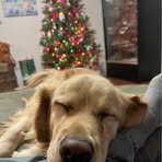 Profile Picture of Ashley Safrit (@ashley.safrit.568) on Facebook