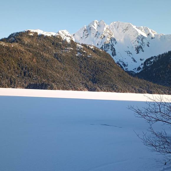 Profile Picture of Chrissy Marlitt (@cmarlitt) on Poshmark