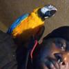 Profile Picture of timgrier25 (@timgrier25) on Tiktok