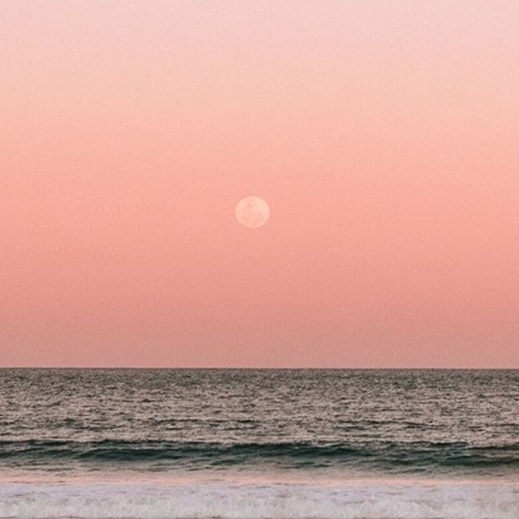 Eana Tokunaga - Poshmark Profile Picture of Eana Tokunaga (@choc_chips) on Poshmark