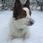 Profile Picture of Tiffiny Moore Harris (@tiffiny.moore.harris) on Instagram