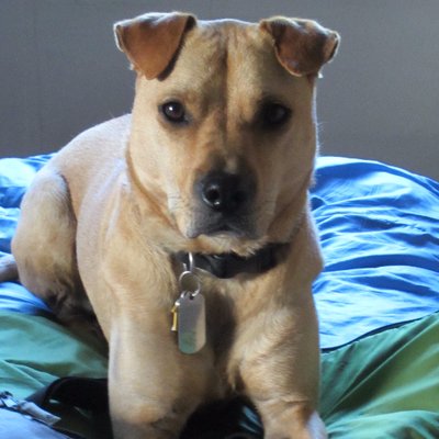 Profile Picture of Joe Sturgeon (@Joe_And_Emma) on Twitter